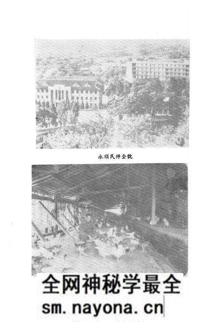 《湖南省永顺县教育志》.pdf电子版_湖南省志预览图4 《湖南省永顺县教育志》.pdf电子版_湖南省志预览图4