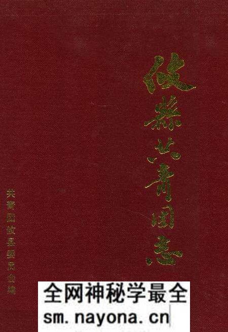 《攸县共青团志》.pdf电子版_湖南省志预览图