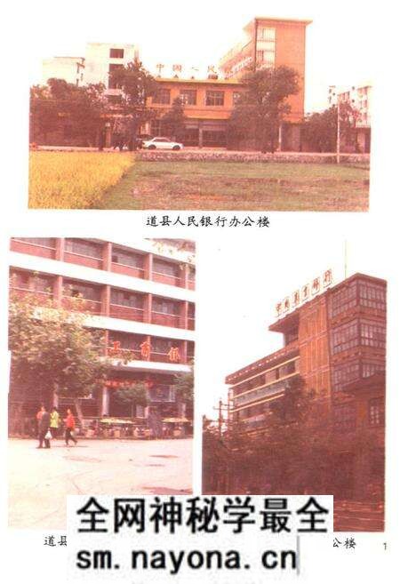《道县金融志》.pdf电子版_湖南省志预览图5 《道县金融志》.pdf电子版_湖南省志预览图5