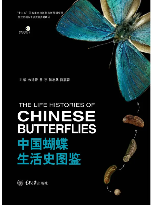 《中国蝴蝶生活史图鉴》朱建青【文字版_PDF电子书_】 《中国蝴蝶生活史图鉴》封面图片