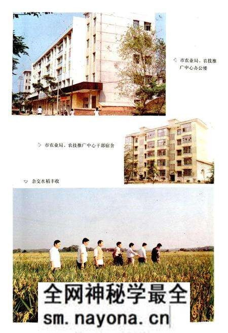 《醴陵农业志》.pdf电子版_湖南省志预览图4 《醴陵农业志》.pdf电子版_湖南省志预览图4