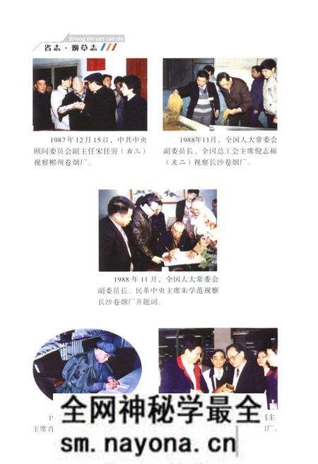 《《湖南省志·烟草志》(1978-2002)》.pdf电子版_湖南省志预览图5