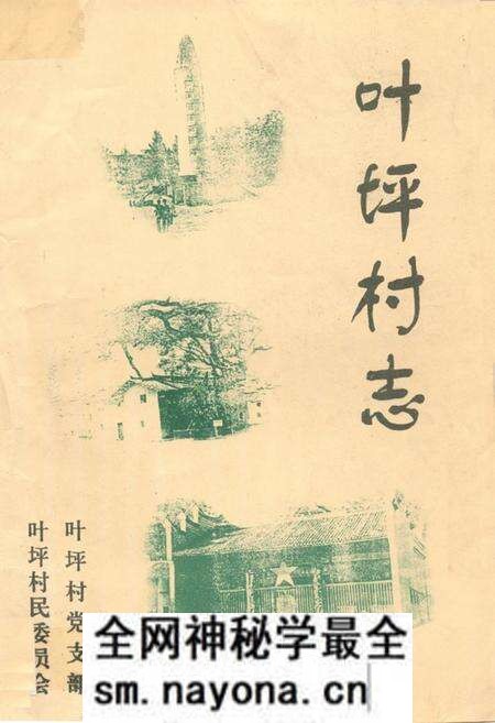 《叶坪村志》.pdf电子版_江西省志预览图