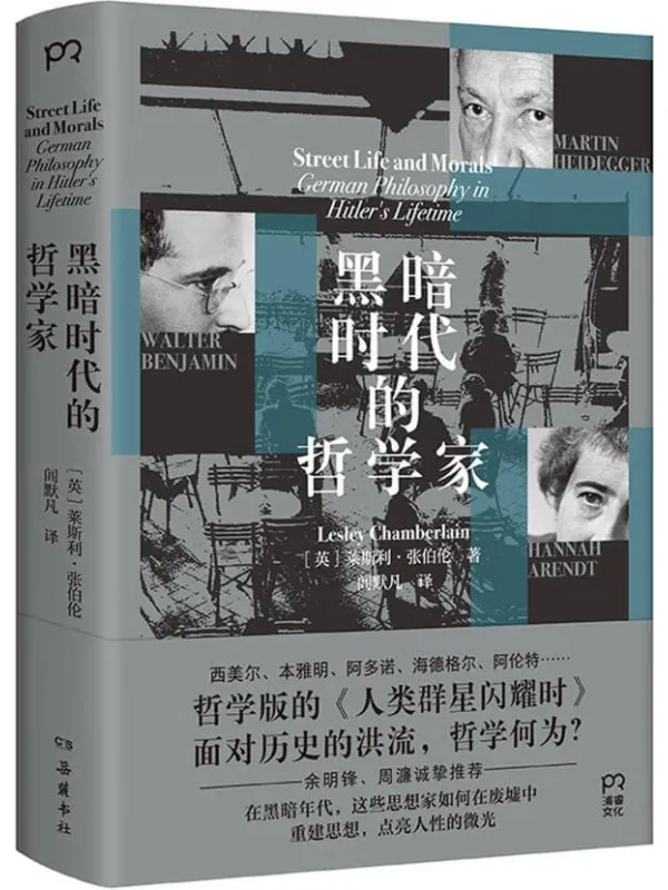 《黑暗时代的哲学家》莱斯利·张伯伦【文字版_PDF电子书_】 《黑暗时代的哲学家》封面图片
