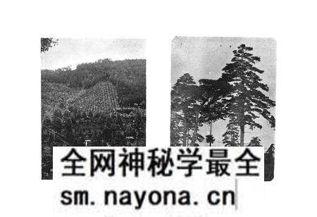 《《安化县科学技术志(1840-1988)》》.pdf电子版_湖南省志预览图4