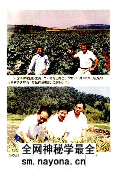 《郴州地区农业志》.pdf电子版_湖南省志预览图3 《郴州地区农业志》.pdf电子版_湖南省志预览图3