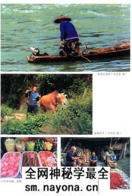 《湘西风土志》.pdf电子版_湖南省志预览图5