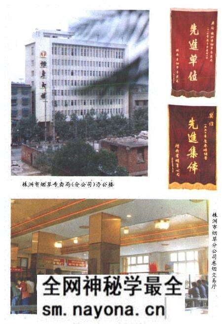 《株洲市烟草志》.pdf电子版_湖南省志预览图5 《株洲市烟草志》.pdf电子版_湖南省志预览图5