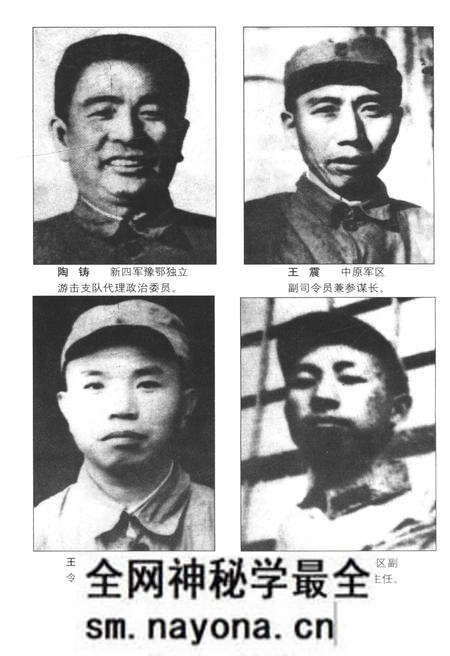 《驰骋江淮河汉》.pdf电子版_湖北省志预览图4