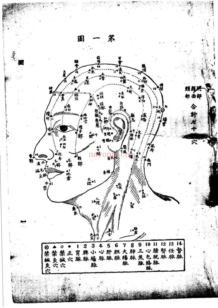《针灸精粹》9