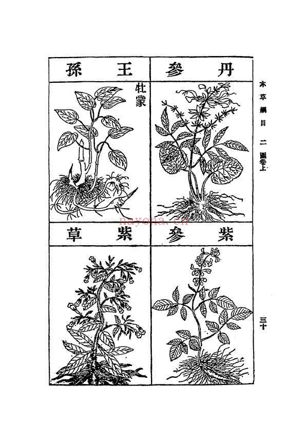本草纲目.张绍棠重订.商务印书馆民国1930年pdf