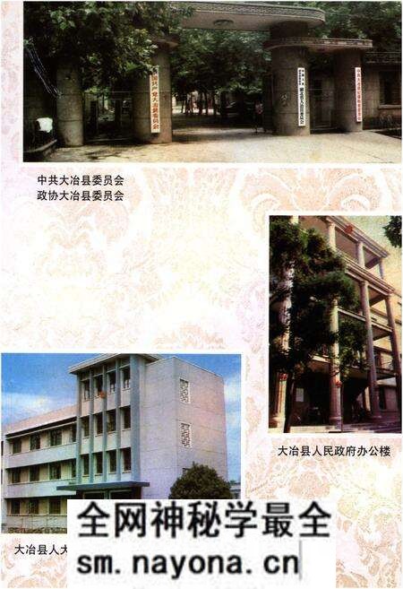 《大冶县志》.pdf电子版_湖北省志预览图3