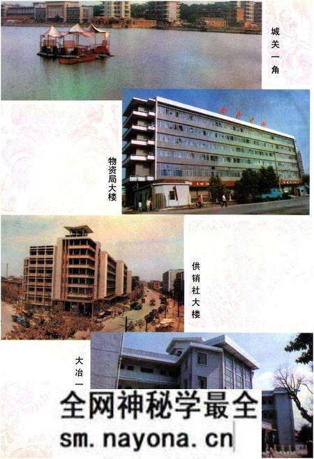 《大冶县志》.pdf电子版_湖北省志预览图4