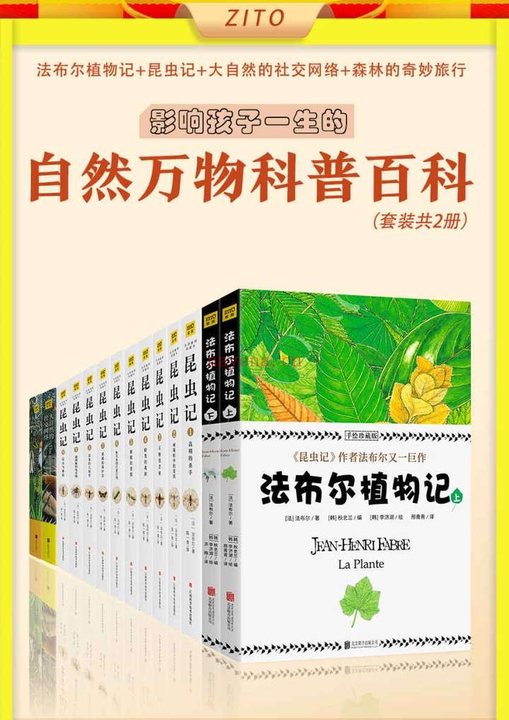 《自然万物科普百科：昆虫记_法布尔植物记_大自然的社交网络_森林的奇妙旅行(套装，共14册)》封面图片