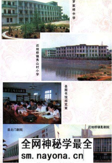 《大冶县志》.pdf电子版_湖北省志预览图5