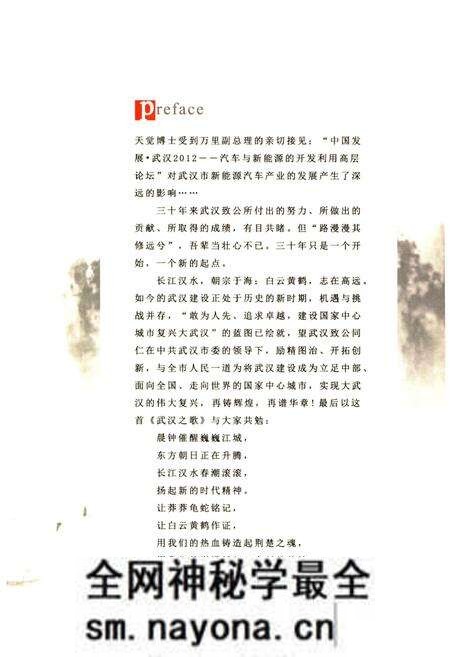 《武汉致公 三十年 1983-2013》.pdf电子版_湖北省志预览图5