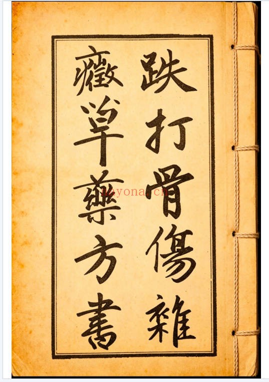 跌打骨伤杂症单药方书高清彩色117页PDF 中医秘方