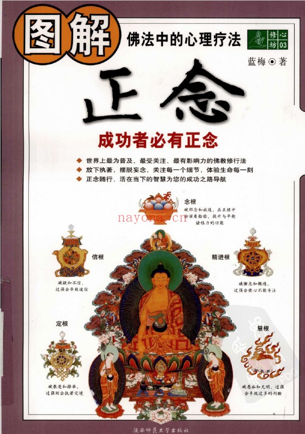 修心坊03-图解正念 成功者必有正念pdf