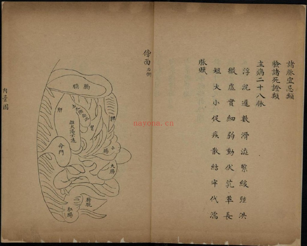 诊家枢要.金镜录杂症pdf