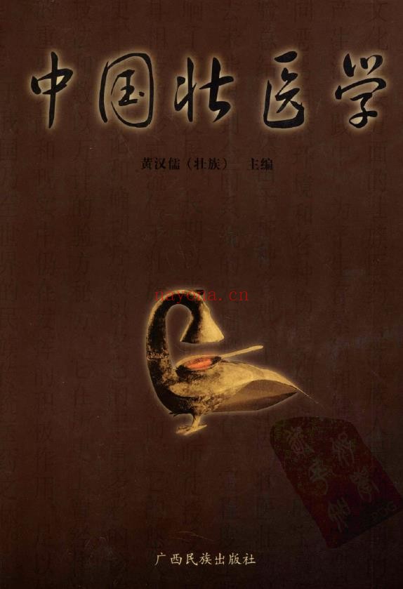 中国壮医学