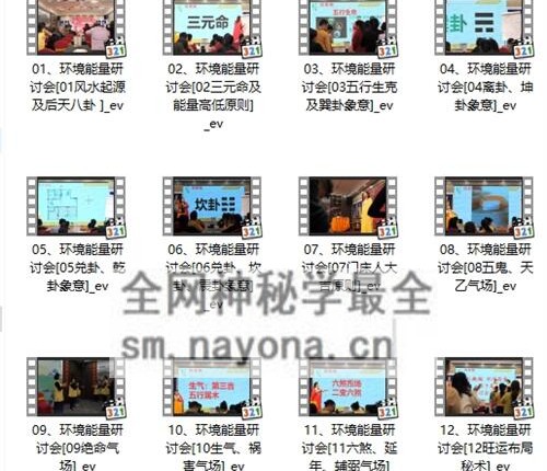 G1672徐子辰环境能量研讨会-视频16集