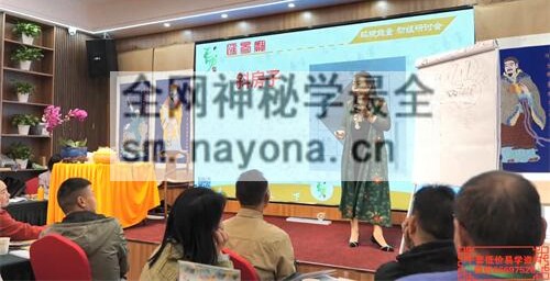 G1672徐子辰环境能量研讨会-视频16集