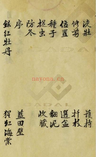 月季花谱.兰蕙花镜PDF