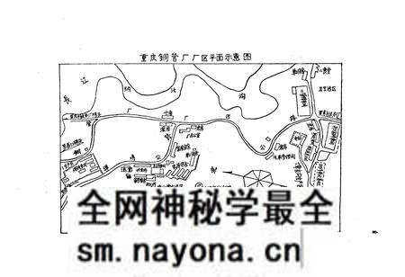 《重庆铜管厂志(1966-1985)》.pdf电子版_重庆市志预览图4