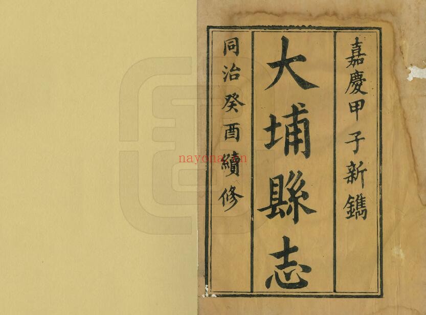 同治大埔县志PDF电子版网盘