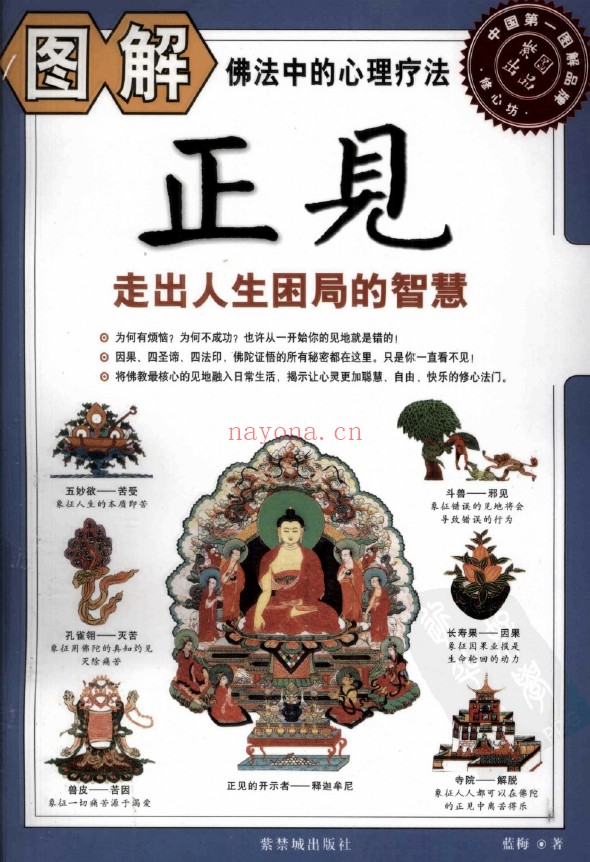 修心坊07-图解正见 走出人生困局的智慧pdf