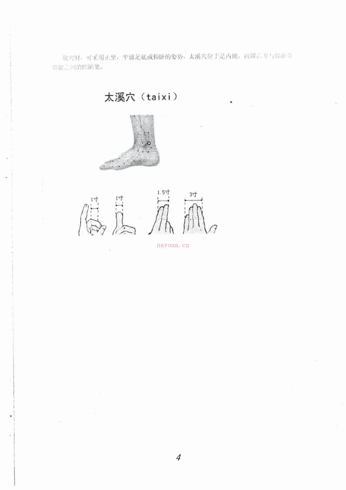 《般若心宗之强力补肾技术》PDF电子书（42页）