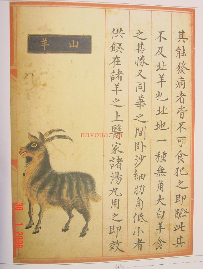 食物本草（明）（高清版宫廷写本）pdf