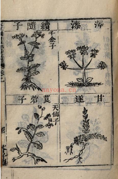 芥子园重订本草纲目pdf