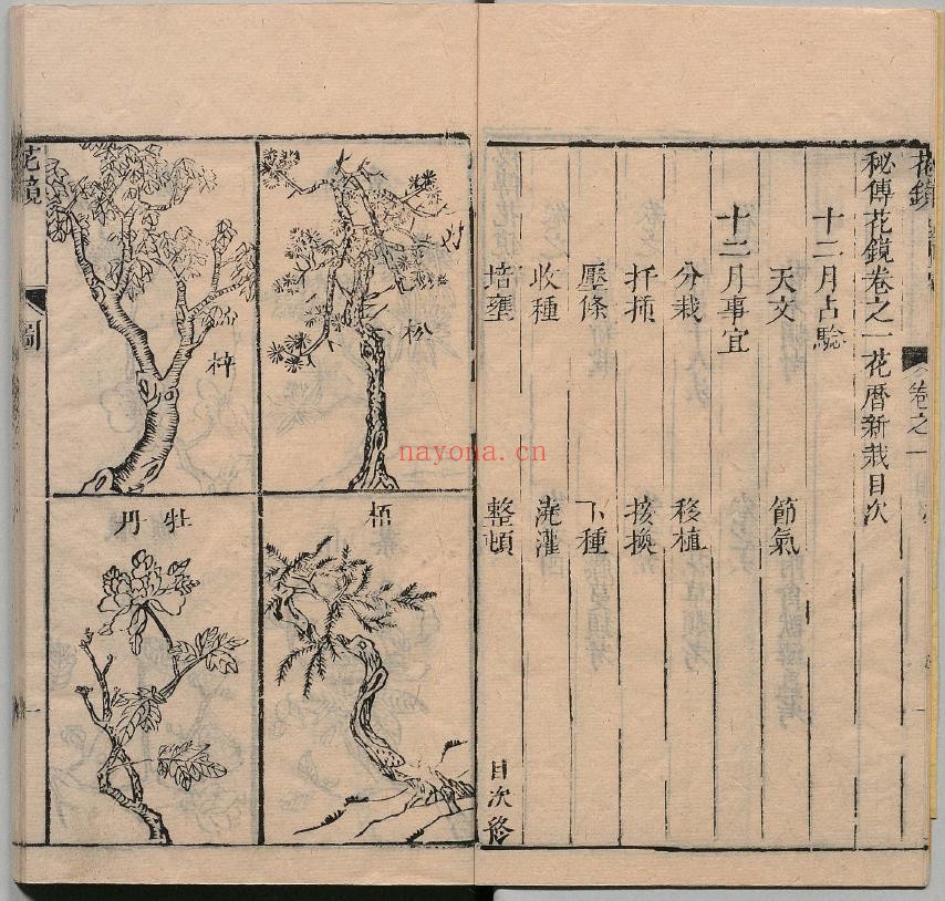 秘传花镜・清・陈淏子pdf
