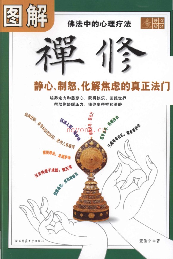 修心坊01-图解禅修：佛法中的心理疗法pdf