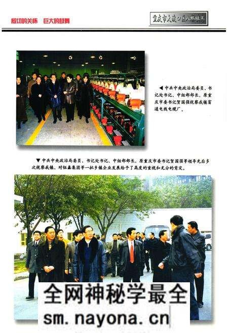 《重庆市大渡口区八桥镇志》.pdf电子版_重庆市志预览图5