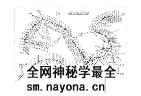 《重庆铁路分局志》.pdf电子版_重庆市志预览图3 《重庆铁路分局志》.pdf电子版_重庆市志预览图3
