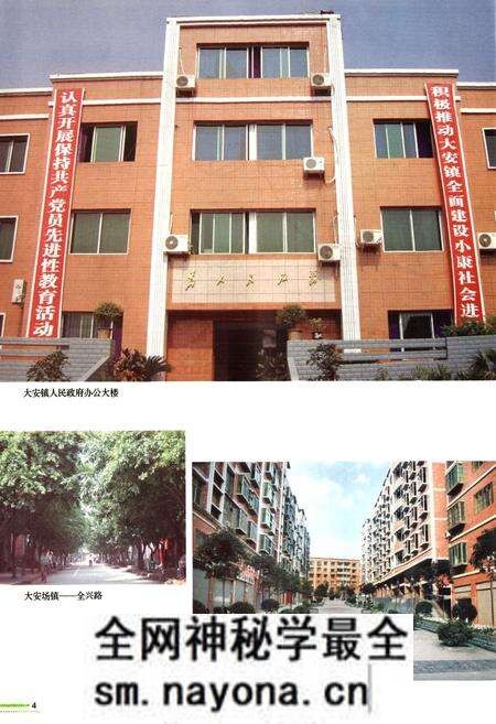 《大安镇志》.pdf电子版_重庆市志预览图5