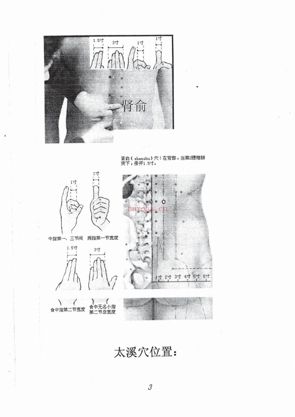 《般若心宗之强力补肾技术》PDF电子书（42页）