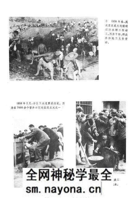 《重庆市市中区卫生志》.pdf电子版_重庆市志预览图4