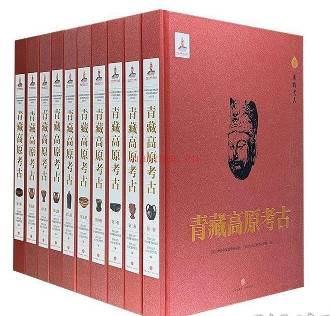 珍稀青藏高原考古（全10册）天地出版社