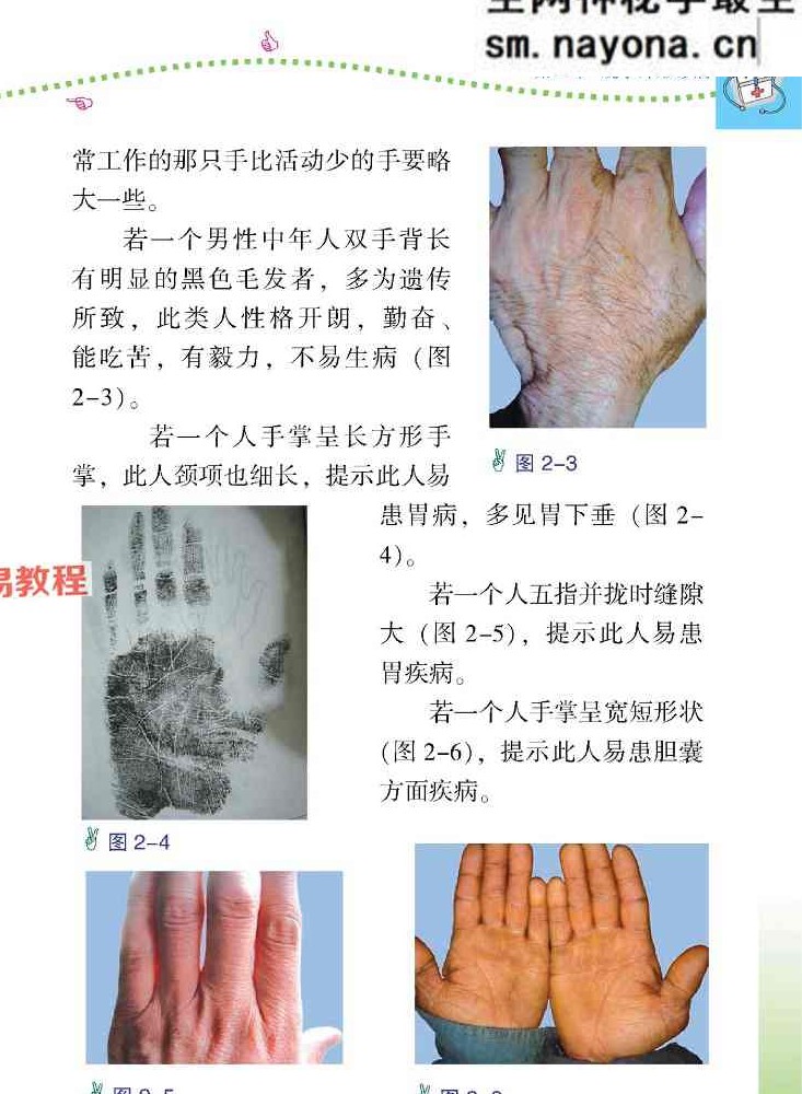 赵理明《图解手诊看健康》.pdf 129页 百度云免费下载！