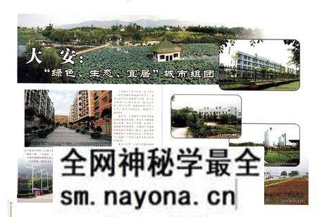 《大安镇志》.pdf电子版_重庆市志预览图4