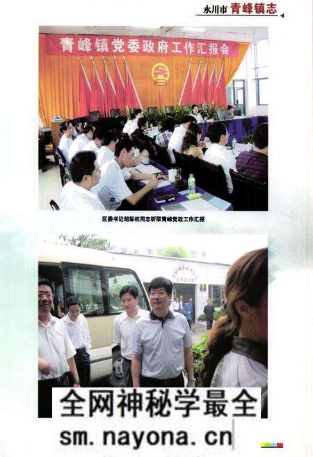 《永川市青峰镇志》.pdf电子版_重庆市志预览图5