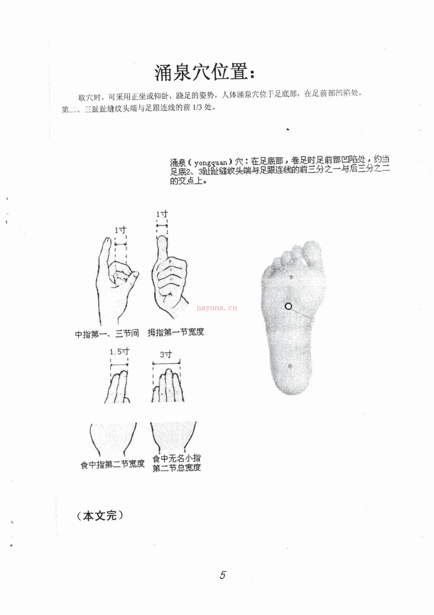 《般若心宗之强力补肾技术》PDF电子书（42页）