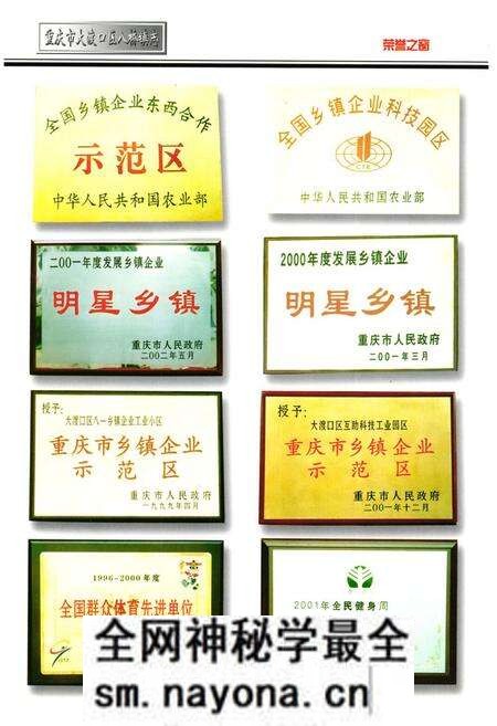 《重庆市大渡口区八桥镇志》.pdf电子版_重庆市志预览图4