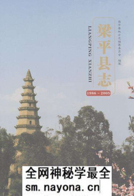 《梁平县志(1986~2005)》.pdf电子版_重庆市志预览图