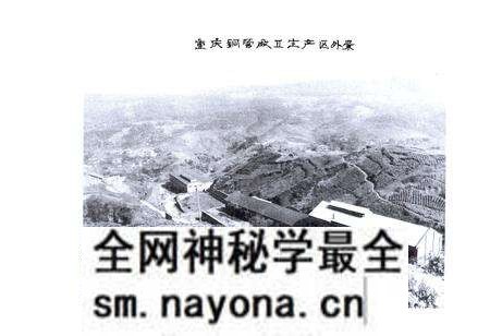 《重庆铜管厂志(1966-1985)》.pdf电子版_重庆市志预览图5