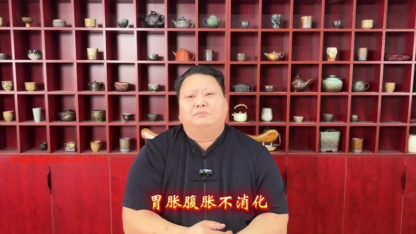 《陈启锋陈氏太极正骨课程》（视频30集）
