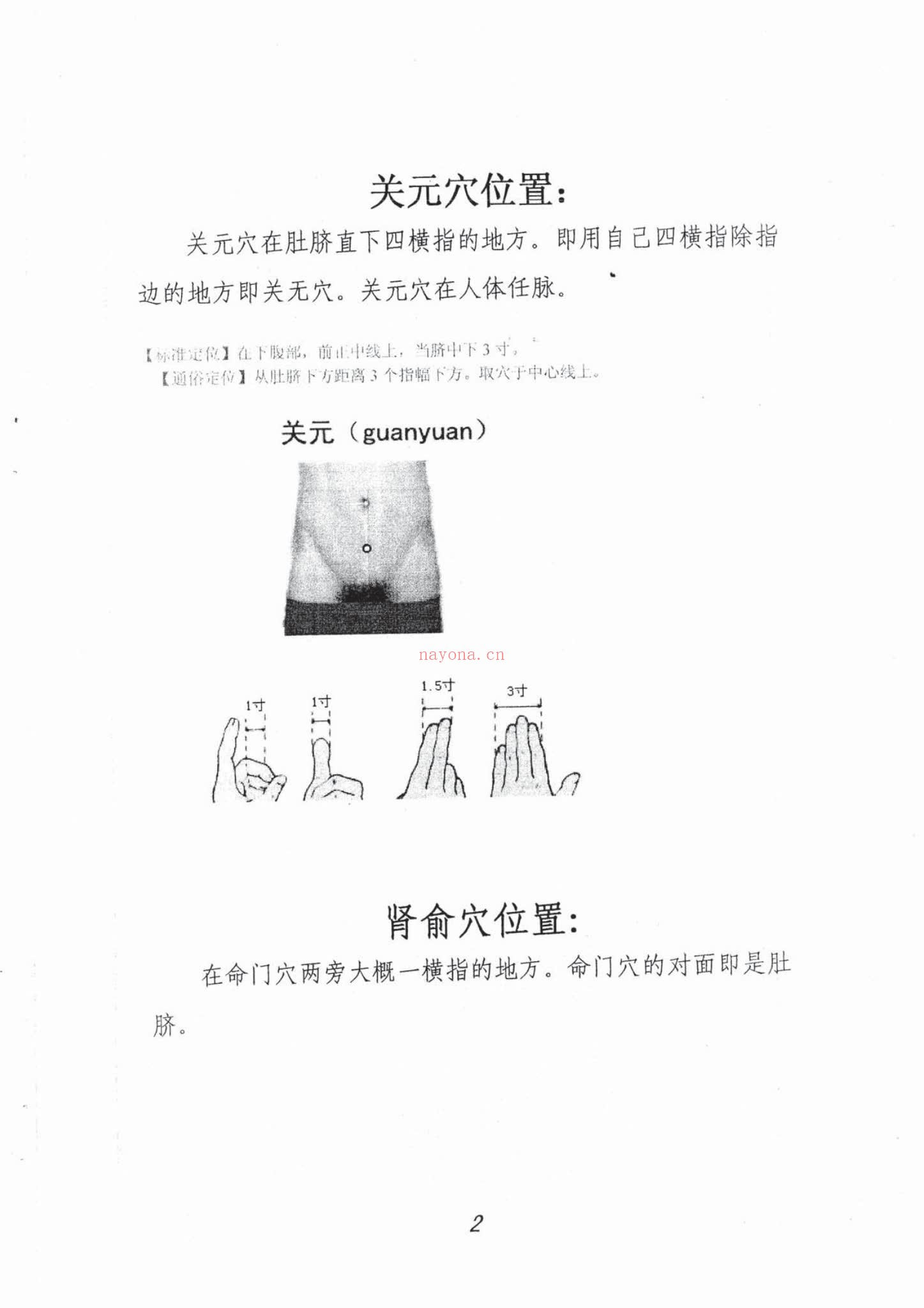 《般若心宗之强力补肾技术》PDF电子书（42页）